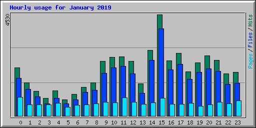 Hourly usage for January 2019