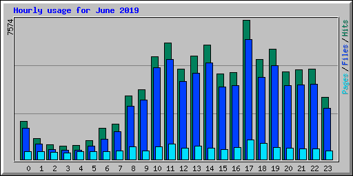 Hourly usage for June 2019